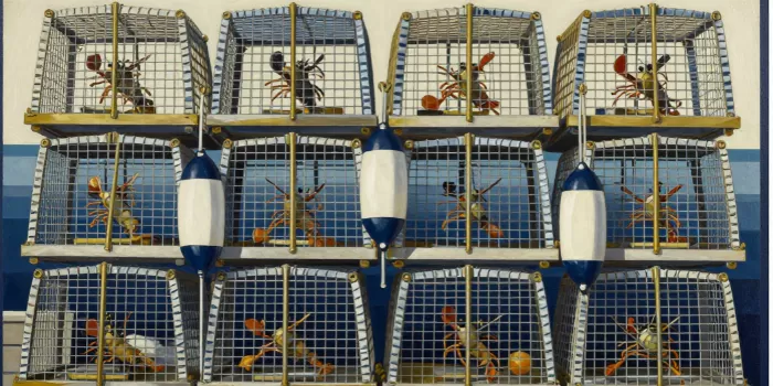 Buoy Array