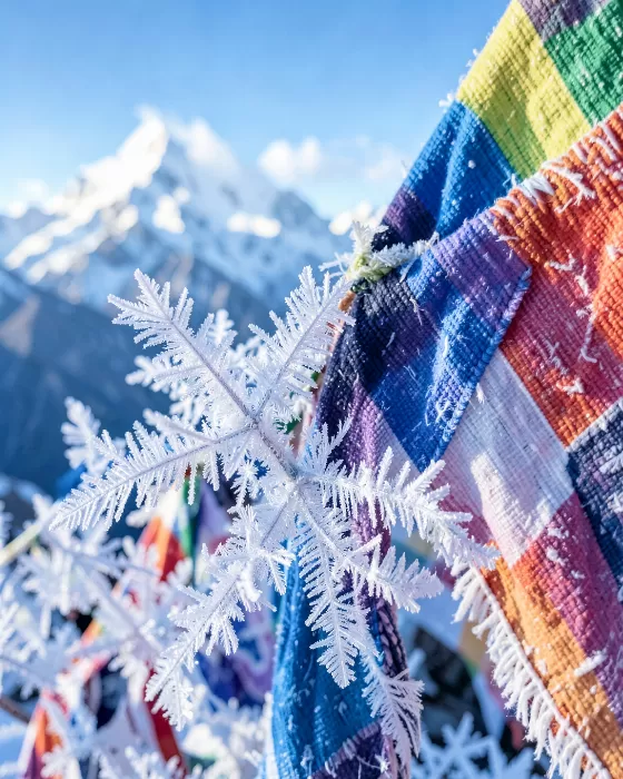 Frost Prayer
