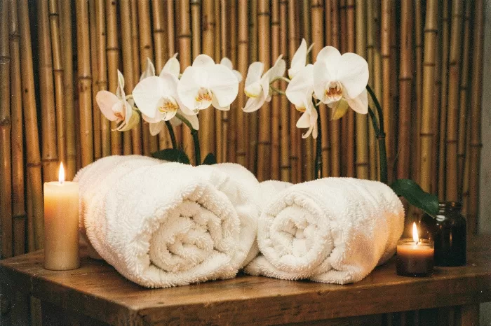 Vintage Towels