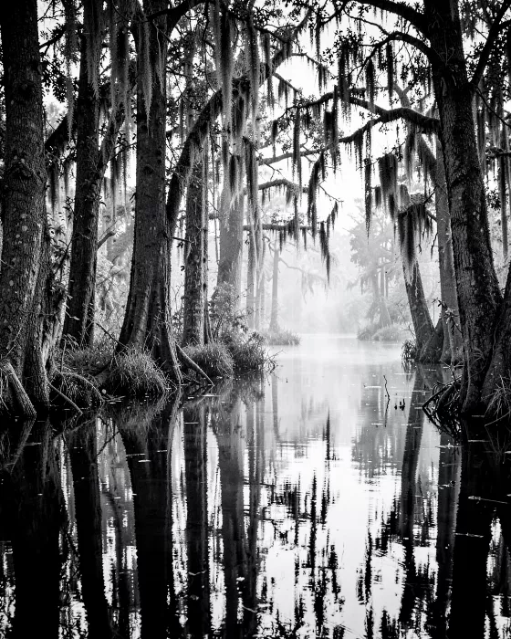 Cypress Mirror