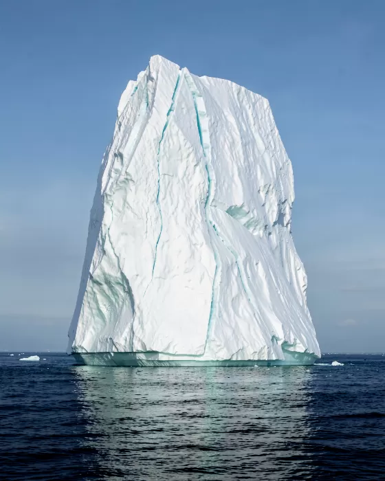 Pale Giant