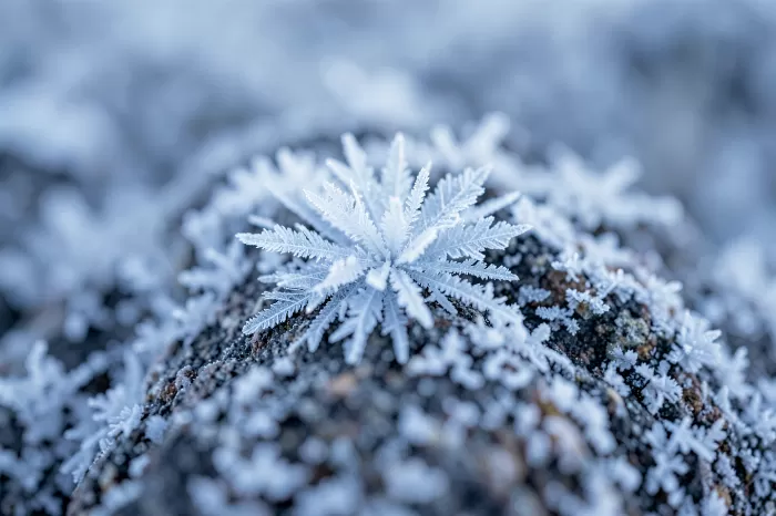 Arctic Crystal