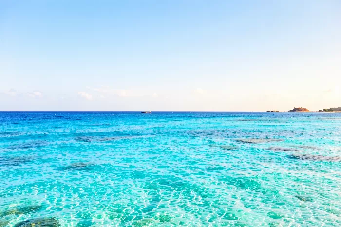 Zanzibar Shallows