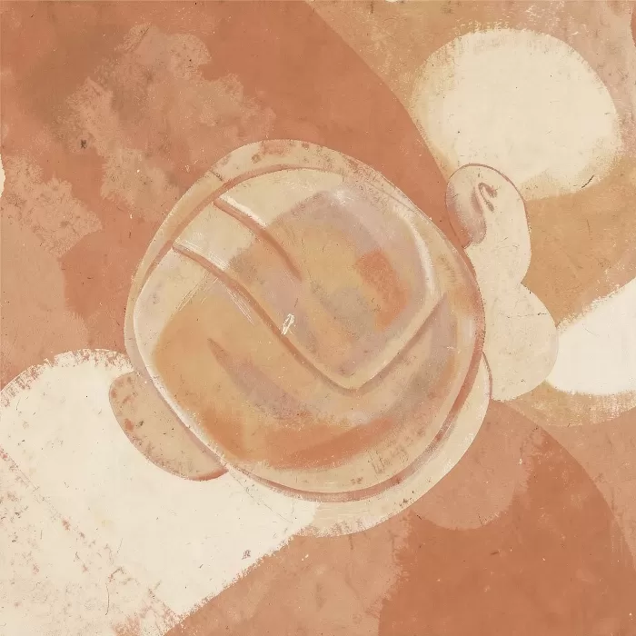 Shell Warmth