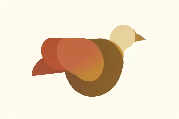 Falcon Form