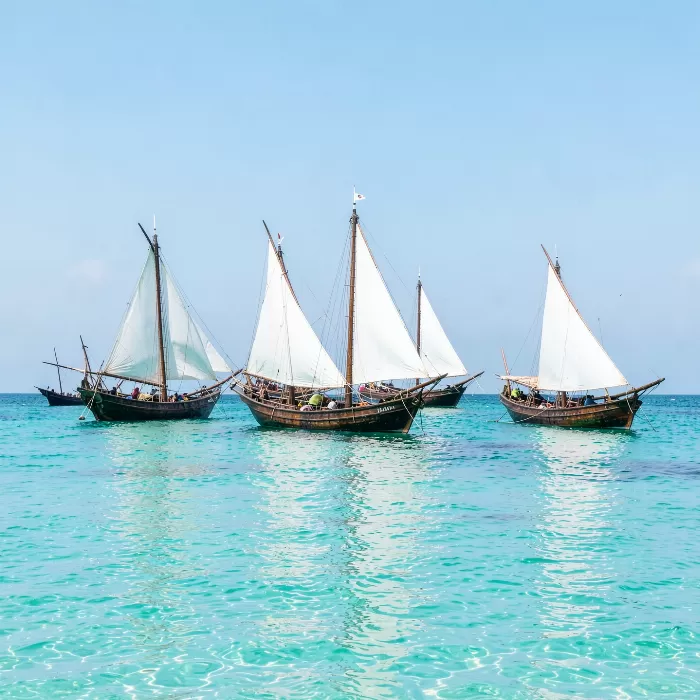 Zanzibar Dhows