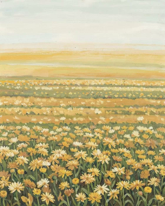 Pale Meadow
