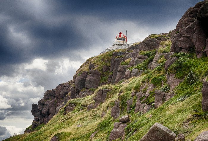 cape lighthouse - Newfoundland art print