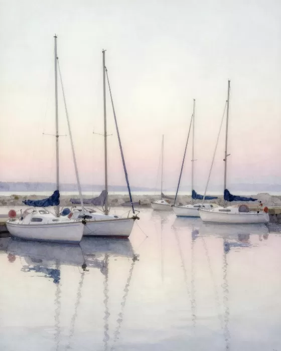 Misted Masts