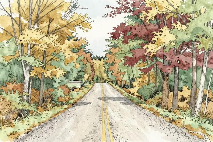 Carriage Roads