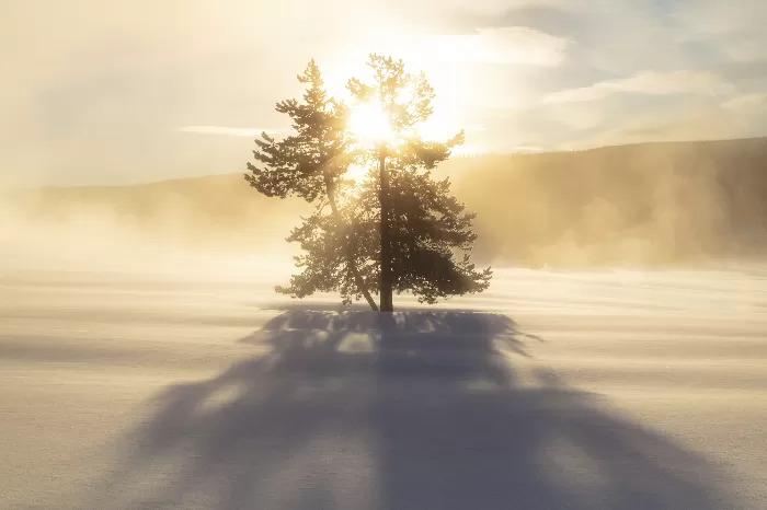 Sunrise near Terrace Spring