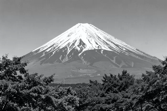 Fuji Maples