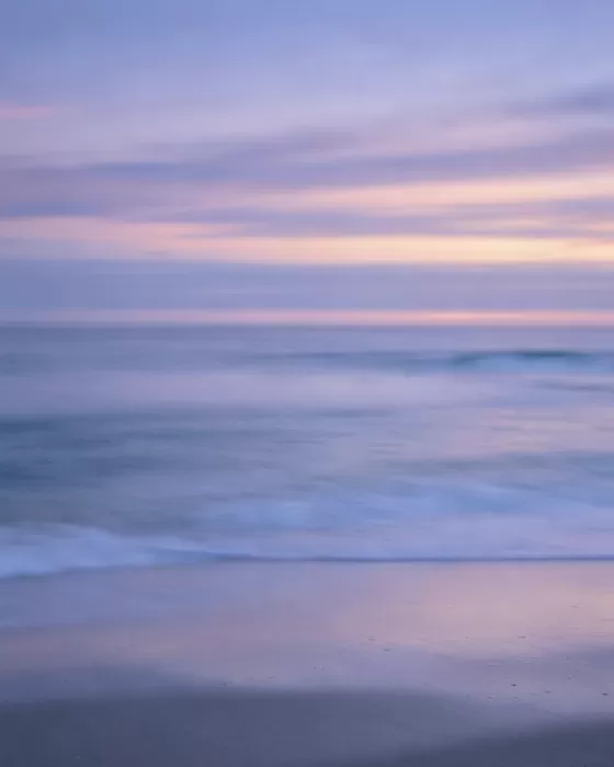 Lavender Sands