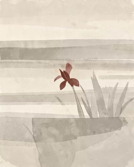 Rust Iris