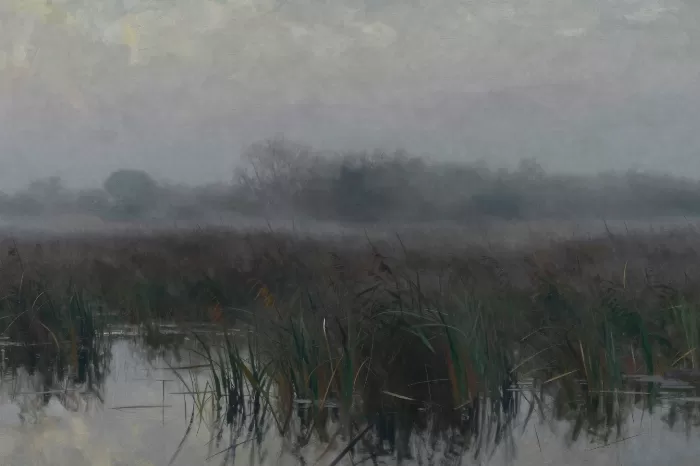 Dusky Channels