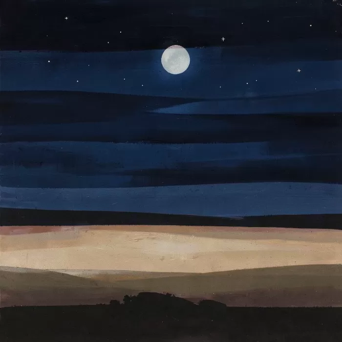Moon Field