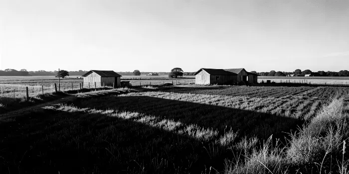 Homestead Dawn