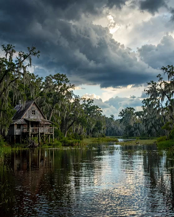 Swamp Horizon