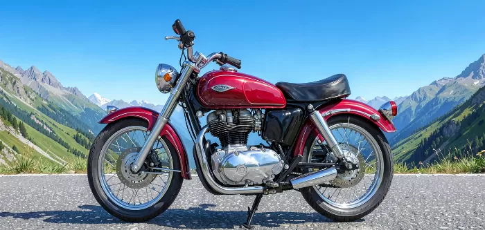 Mountain Cruiser