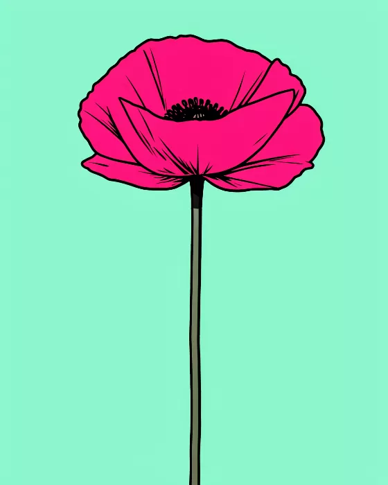 Pink Poppy
