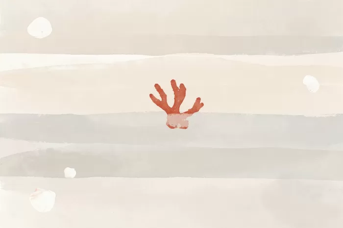 Coral Bands