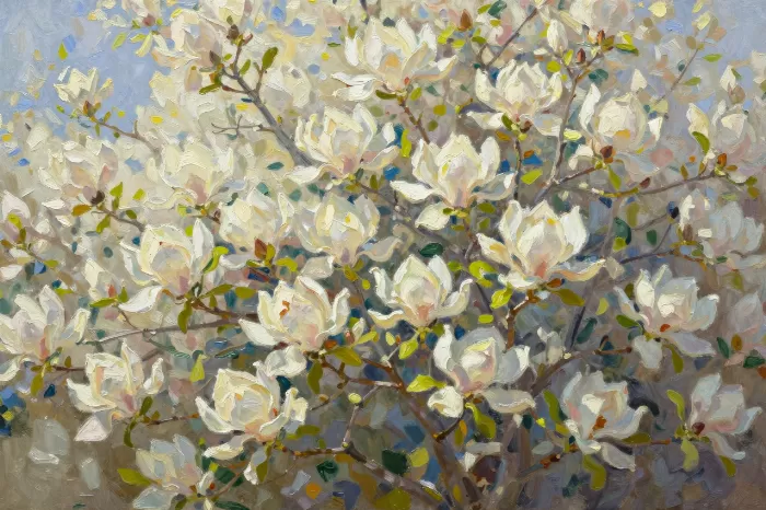 Sunlit Magnolia