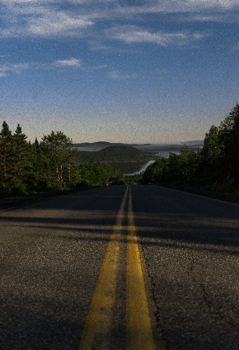 Night Light - Newfoundland art print