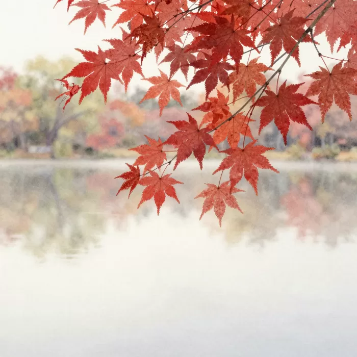 Autumn Arch