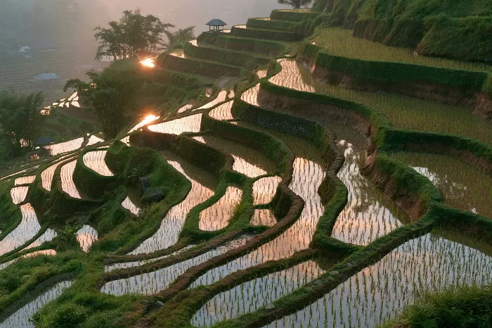 Dawn Terraces
