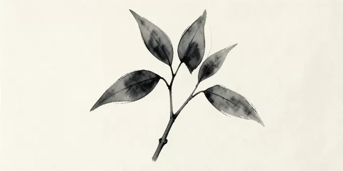Eucalyptus Ink