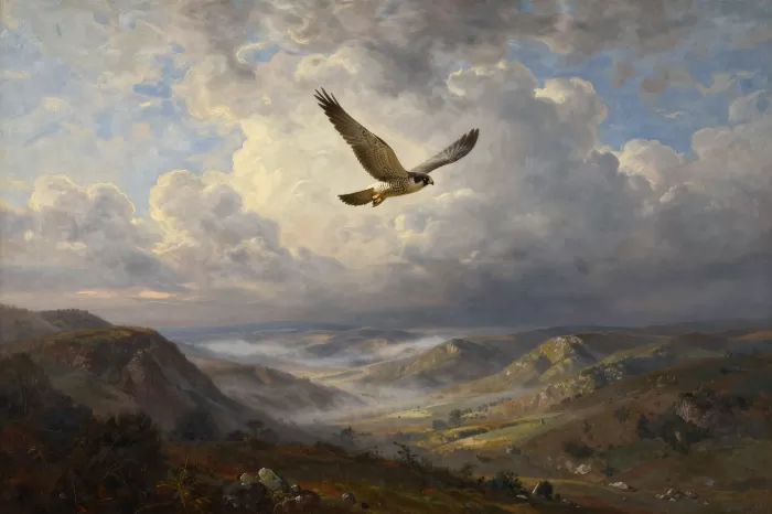 Falcon's Flight