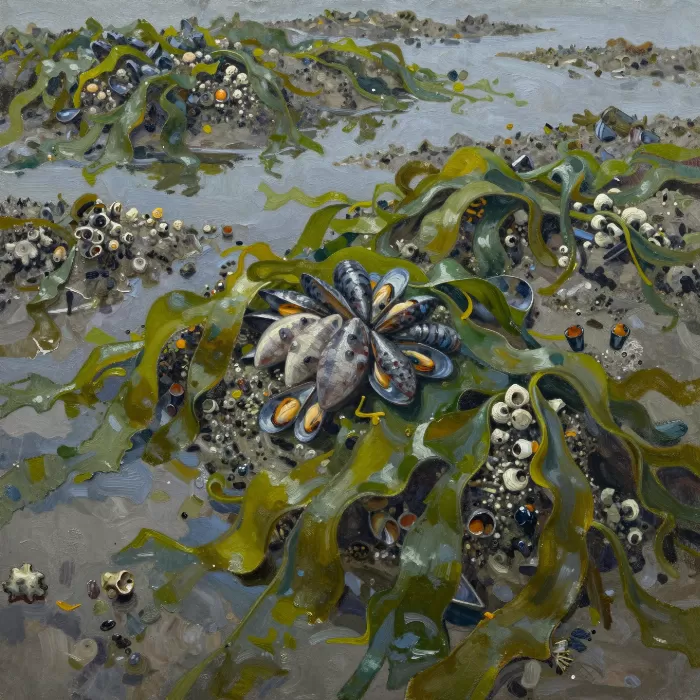 Tidal Riches
