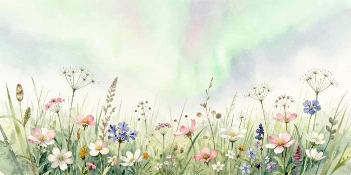 Aurora Bloom