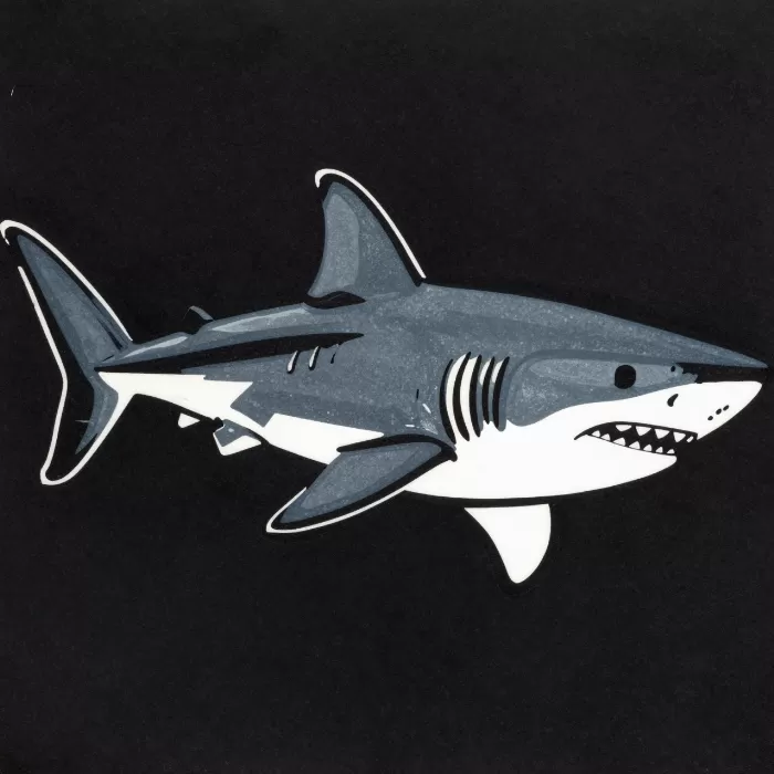 Shark Cut