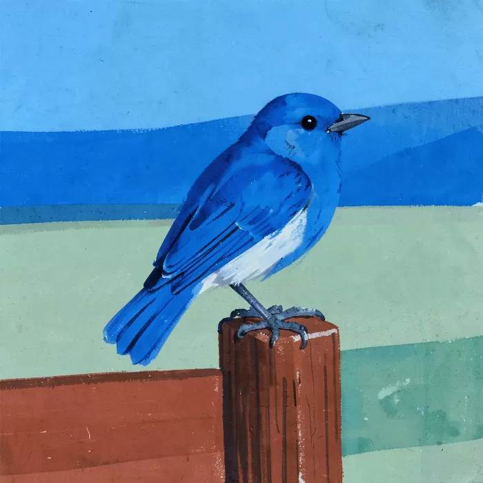 Bluebird Perch
