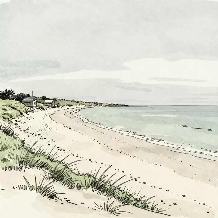Shore Lines