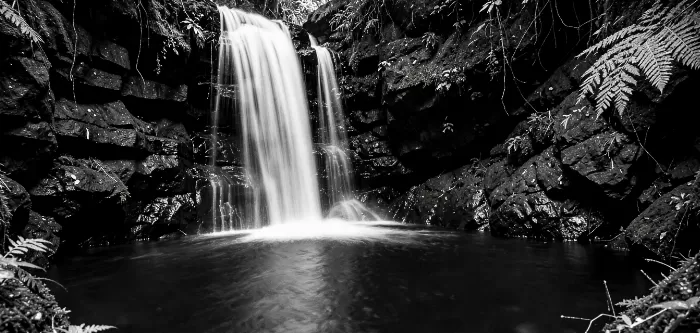 Fernglow Gorge