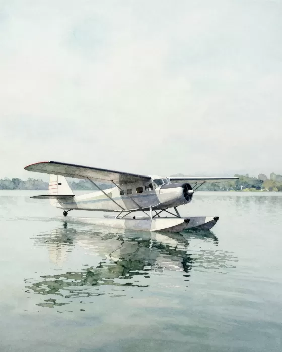 Seaplane Serenity