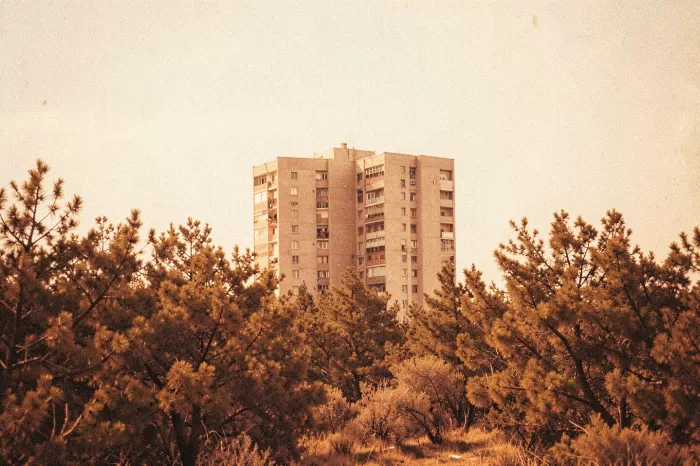 Concrete Pines
