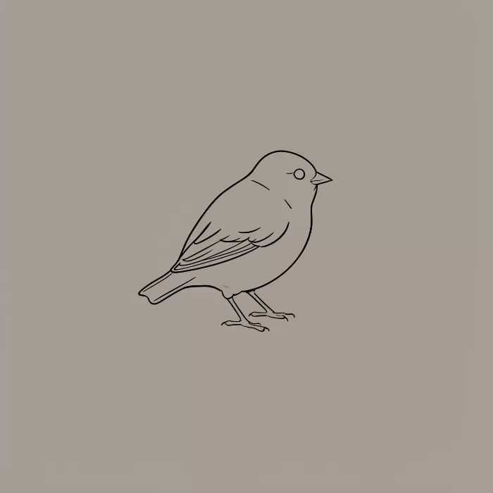 Little Bird