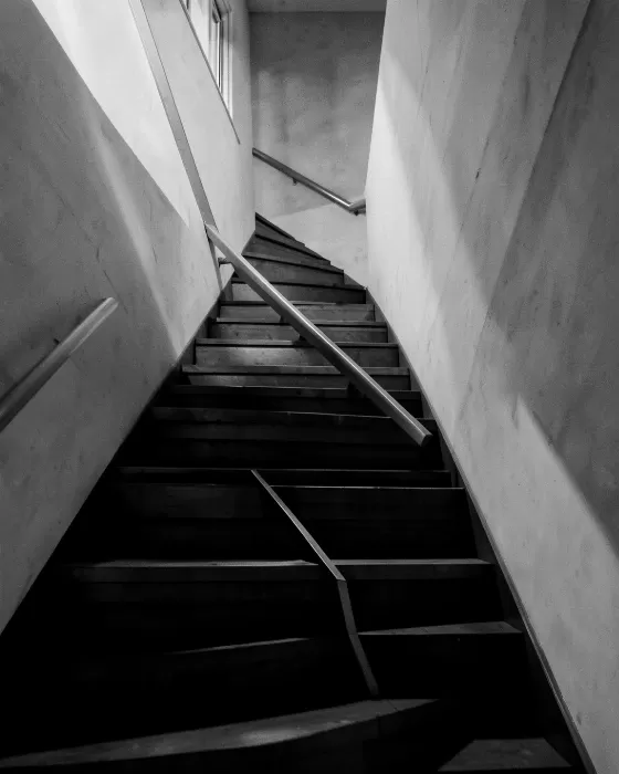 Shadow Line