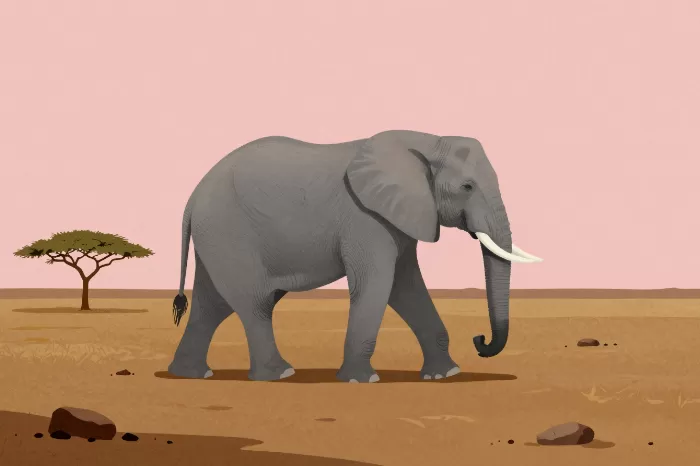 Slow March