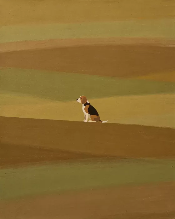 Ochre Beagle