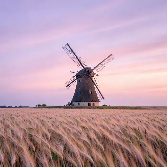 Dawn Windmill