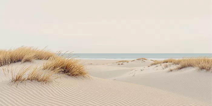 Dune Wind