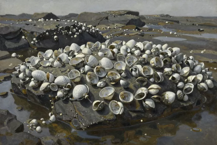 Tidal Chiaroscuro