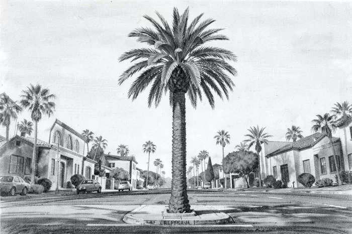 Beverly Palm