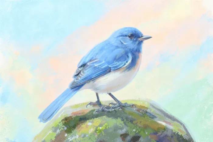 Bluebird Rest
