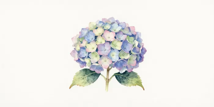 Soft Florets