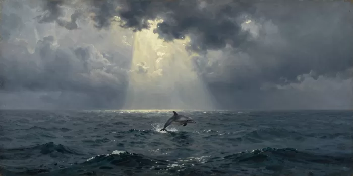 Storm Breach
